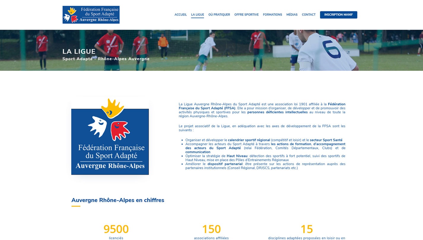 wordpress agence web design lyon arkanite application mobile